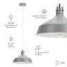 Светильник подвесной (подвес) ЭРА PL2 GR/SN металл, E27, max 60W, высота плафона 200мм, подвеса 780мм,серый/сатин никель