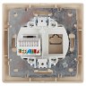 Розетка Intro Plano 1-303-11 информационная RJ45, IP20, СУ, Plano, сосна