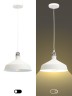 Светильник подвесной (подвес) ЭРА PL2 WH/SN металл, E27, max 60W, высота плафона 200мм, подвеса 780мм,белый/сатин никель