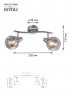 Светильник настенно-потолочный спот Rivoli Nioba 7030-702 2 х E14 40 Вт поворотный