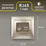 Розетка Intro Plano 1-303-04 информационная RJ45, IP20, СУ, шампань