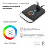 Настольный светильник ЭРА NLED-460-14W-BK-S светодиодный с ночником на основании черный с серебром
