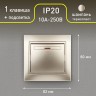 Выключатель Intro Plano 1-102-04 одноклавишный с подсветкой, 10А-250В, IP20, СУ, шампань