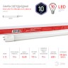Лампа светодиодная ЭРА RED LINE ECO LED T8-10W-865-G13-600mm G13 10 Вт трубка стекло холодный дневной свет