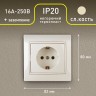 1-202-02 Intro Розетка 2P+E Schuko, 16А-250В, IP20, СУ, Plano, сл.кость