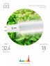 Фитолампа для растений светодиодная ЭРА FITO-18W-Ra90-Т8-G13-NL полного спектра 18 Вт Т8 G13