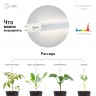 Фитолампа для растений светодиодная ЭРА FITO-18W-Ra90-Т8-G13-NL полного спектра 18 Вт Т8 G13