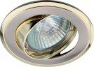 KL22 А SN/G Светильник ЭРА литой пов. двойной контур MR16,12V/220V, 50W сатин никель/золото (100/