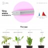 Фитолампа для растений светодиодная ЭРА FITO-18W-RB-Т8-G13-NL и мясных прилавков 18 Вт Т8 G13 красно-синего спектра