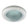 WR1 WH Светильник ЭРА влагозащищенный MR16,12V/220V, 50W белый