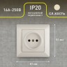 4-201-02 Intro Розетка 2P, 16А-250В, СУ, Solo, сл.кость