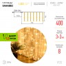Светодиодная новогодняя гирлянда ЭРА ЕNIG - 400W Занавес 8 режимов 3*3 м теплый белый 400 LED IP20