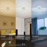 Светильник потолочный светодиодный Rivoli Leidiane 6097-104 64 Вт LED 2750К - 5850 К модерн с пультом
