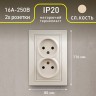 Розетка Intro Plano 1-204-02 без заземления двойная 2х2P, 16А-250В, IP20, СУ, Plano, слоновая кость