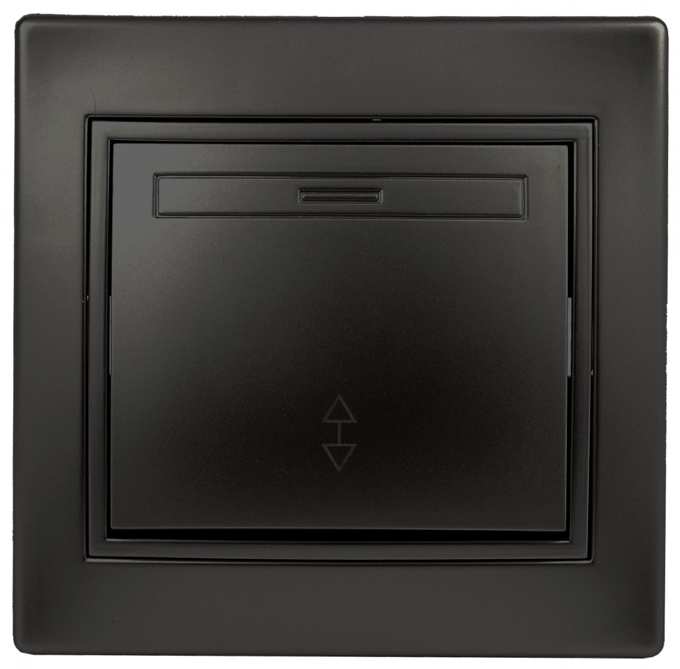 1-103-05 Intro Переключатель, 10А-250В, IP20, СУ, Plano, антрацит