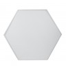 Светильник светодиодный Geometria ЭРА Hexagon SPO-121-W-40K-038 38Вт 4000К 4000Лм IP40 600*600*80 белый подвесной