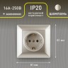 4-202-04 Intro Розетка 2P+E Schuko, 16А-250В, СУ, Solo, шампань