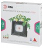 Фитопрожектор для растений светодиодный ЭРА FITO-50W-LED-BLUERED для цветения и плодоношения 50Вт красно-синего спектра