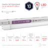 Лампа светодиодная ЭРА STD LED T8-10W-865-G13-600mm G13 поворотный 10Вт трубка стекло холодный дневной свет