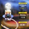 ЭРА Автолампа  Н3 12V 55W PK22s BL (лампа головного света, противотуманные огни)