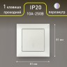Переключатель Intro Solo 4-103-06 одноклавишный 10А-250В, IP20, СУ, перламутр