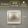 Выключатель Intro Plano 1-104-04 двухклавишный, 10А-250В, IP20, СУ, шампань