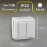 2-104-01 Intro Выключатель двойной, 10А-250В, IP20, ОУ, Quadro, белый