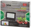 Фитопрожектор для растений светодиодный ЭРА FITO-50W-Ra90-LED для цветения и плодоношения полного спектра 50 Вт