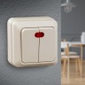 2-105-02 Intro Выключатель двойной с подсветкой, 10А-250В, IP20, ОУ, Quadro, сл.кость