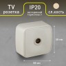 Розетка Intro Polo 3-301-02 TV одиночная, IP20, ОУ, слоновая кость