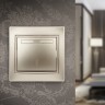 1-103-04 Intro Переключатель, 10А-250В, IP20, СУ, Plano, шампань