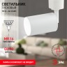 Трековый светильник однофазный ЭРА TR13-GU10 WH под лампу MR16 белый