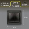 Выключатель Intro Plano 1-105-05 двухклавишный с подсветкой, 10А-250В, IP20, СУ, антрацит