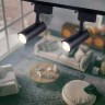 Трековый светильник однофазный ЭРА TR5-10 COB BK светодиодный 10Вт 4000К 700Лм черный