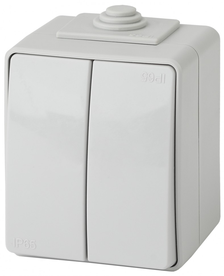 11-1604-03 ЭРА Выключатель двойной IP65, 10АХ-250В, ОУ, Эра Эксперт, серый
