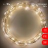 ENIN -10NW ЭРА Гирлянда LED Нить 10 м теплый свет 220V