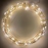 ENIN -10NW ЭРА Гирлянда LED Нить 10 м теплый свет 220V