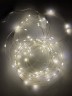 ENIN -10NW ЭРА Гирлянда LED Нить 10 м теплый свет 220V