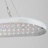 Светильник для растений ЭРА FITO-25W-QLED-FLY подвесной полного спектра 25 Вт