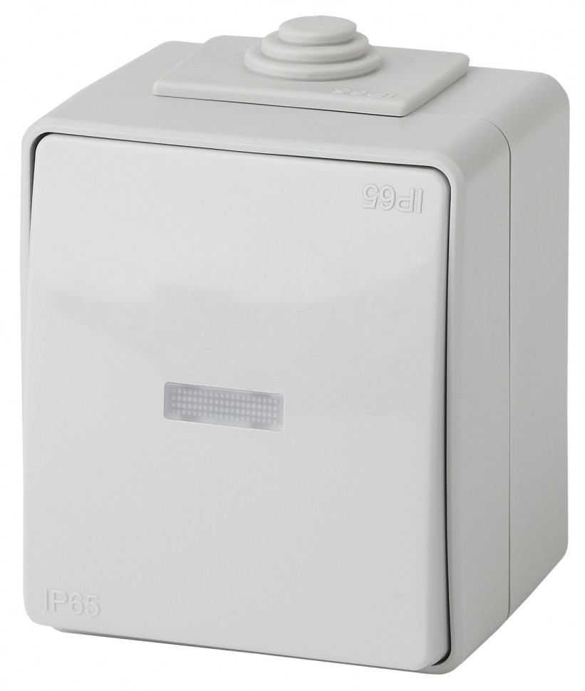 11-1602-03 ЭРА Выключатель с подсветкой IP65, 10АХ-250В, ОУ, Эра Эксперт, серый