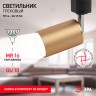 Трековый светильник однофазный ЭРА TR14-GU10 SG под лампу MR16 сатин-золото