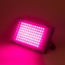 Фитопрожектор для растений светодиодный ЭРА FITO-80W-RB-LED-Y красно-синего спектра