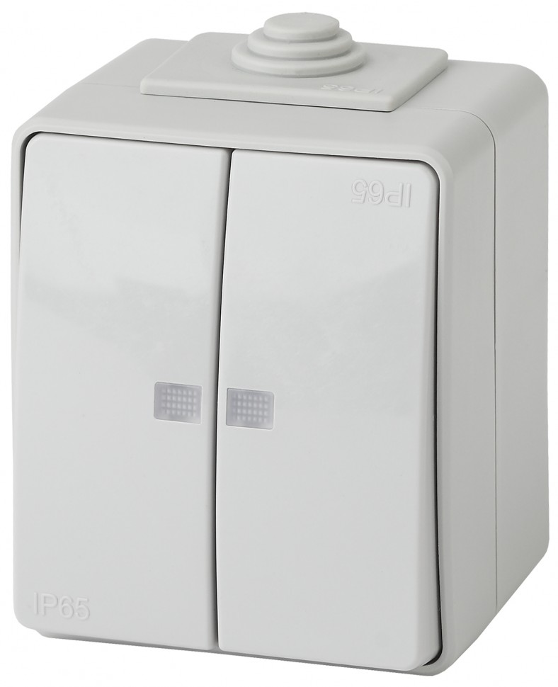 11-1605-03 ЭРА Выключатель двойной с подсветкой IP65, 10АХ-250В, ОУ, Эра Эксперт, серый