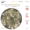 ENIN-10B ЭРА Гирлянда LED Нить 10 м теплый свет 8 режимов, 220V, IP20