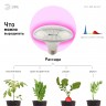 Фитолампа для растений светодиодная ЭРА FITO-18W-RB-E27 красно-синего спектра 18 ВТ Е27