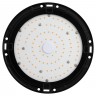 Фитопрожектор для растений светодиодный ЭРА FITO-50W-RB-LED-UFO красно-синего спектра 50 Вт IP65
