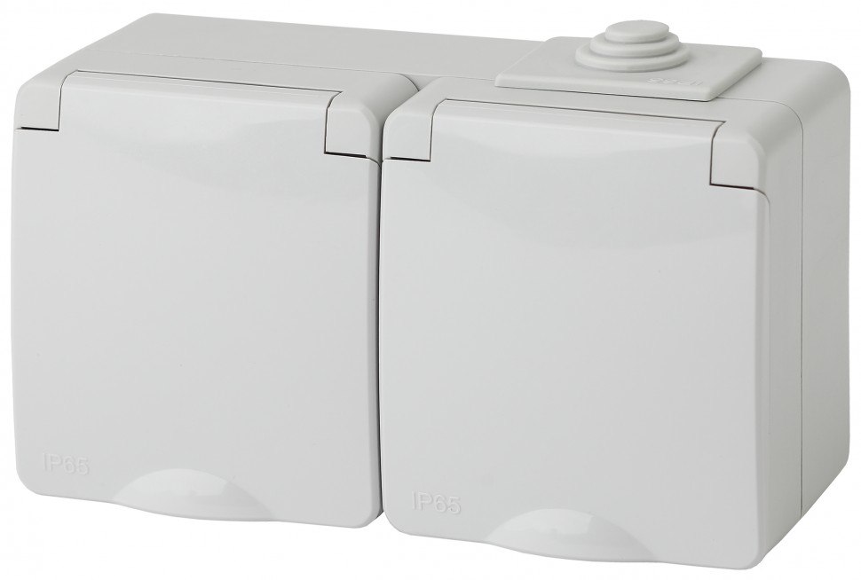 11-2603-03 ЭРА Розетка 2х2P+E гориз. IP65, 16A-250В, ОУ, серый