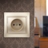 1-201-04 Intro Розетка 2P, 16А-250В, IP20, СУ, Plano, шампань