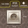 1-201-04 Intro Розетка 2P, 16А-250В, IP20, СУ, Plano, шампань