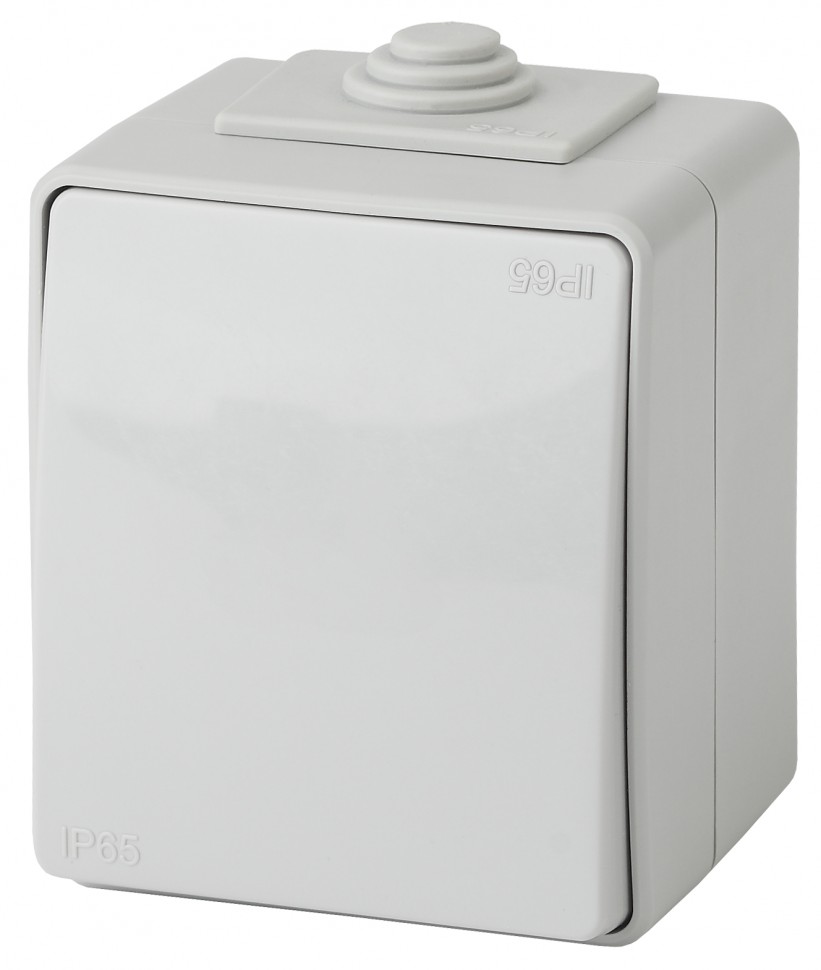 11-1601-03 ЭРА Выключатель IP65, 10АХ-250В, ОУ, Эра Эксперт, серый